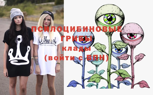 прущая мука Богородицк