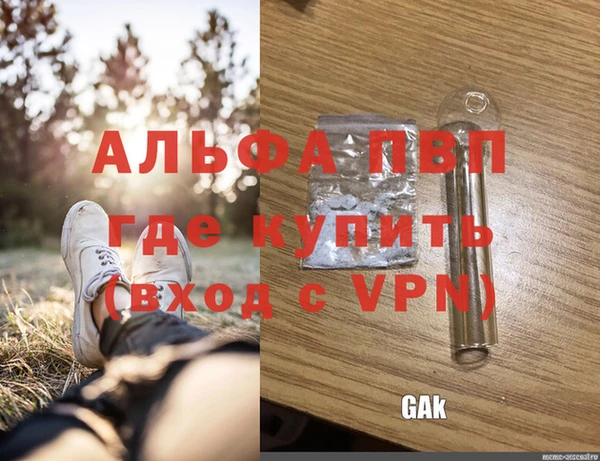 прущие грибы Анива