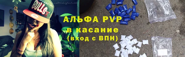 прущие грибы Анива